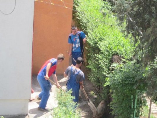 Hingherii s-au apucat să strângă câinii de pe străzi